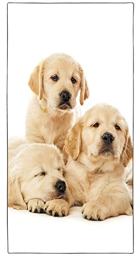 Zomer Strandtuch groß 90x180 cm Schnelltrocknendes Mikrofaser Bedrucktes mit Golden Retriever Motiv