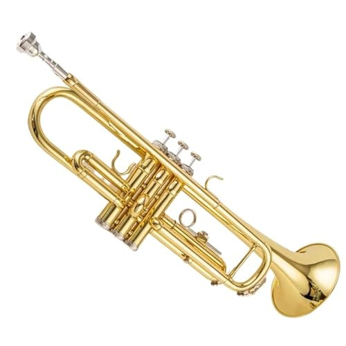 Standard Trompeten Trompete Bb B Flache Messing-Trompete Exquisite Langlebige Trompete Musikinstrument Schöner Klang(Gold)