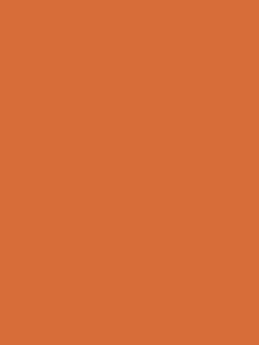 Janine Design Spannbettlaken - 100 x 200 cm - rost-orange