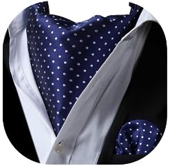 HISDERN Krawattenschal Herren Hochzeit Punkt Halstuch Taschentuch Paisley Business Ascot Krawatte und Einstecktuch Set