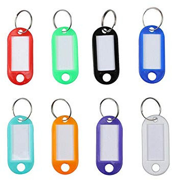 Lot de 100 étiquettes d'identification en plastique pour bagages, animaux de compagnie