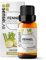 Ätherisches Fenchelöl - 100% Reines, Natürliches Fenchelöl Für Den Therapeutischen Einsatz für Diffuser und Luftbefeuchter - Ein Öl Für Konzentration Und Produktivität - Haar Und Hautpflegeöl (10 ml)