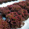 Salat Samen WintergemüSe GemüSepflanzen Wintersalat Feldsalat Samen Winterhart PflüCksalat GemüSesamen Winterfeste Pflanzen FüR Balkon KüBelpflanzen Geschenke Bonsai Samen Wintersalat 200 Salatsamen