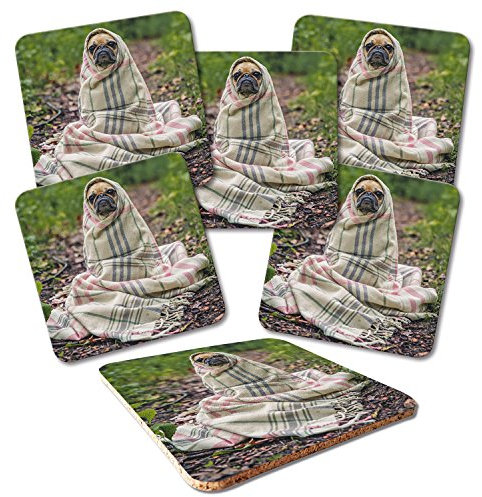 ADDIES Glas-Untersetzer 6-TLG.Set Bedruckt Motiv Hund YODA in hochwertiger Klarsicht-Geschenkbox und Korkrückseite, Tier-Motiv
