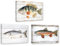 CXHOSTENT Fisch-Wandkunst auf Leinwand, Vintage-Angeldekor 3-teilig Barsch Forelle Sonnenbarsch Bilderdruck Fischarten des Mittleren Westens Poster Gerahmt (30x40cmx3)