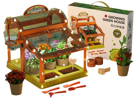 Mini-greenhouse, Gardening Set, Plant Growing Kit, Mini-greenhouse Flower Growing Kit with Upgraded Irrigation, Discovery Educational Gardening Gifts for Boy & Girl