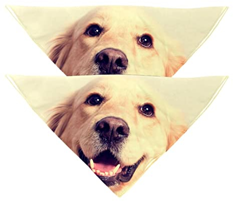 Hundehalstuch für Hunde, Golden Retriever, Mädchen, Jungen, Haustier-Lätzchen, Halstuch, waschbar, Zubehör für kleine, mittelgroße und große Hunde, Welpen, Katzen, Haustier, 2 Stück