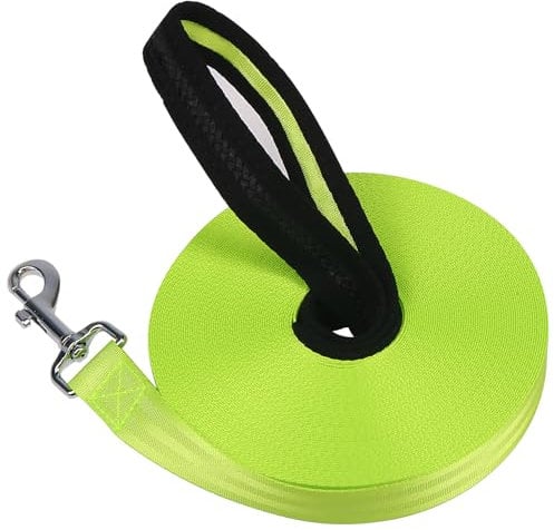 Vivifying Training Lead for Dogs, 20m/65ft Nylon Long Line Dog Lead Rope for Pet Tracking Training Obedience Lead Leash (Green)