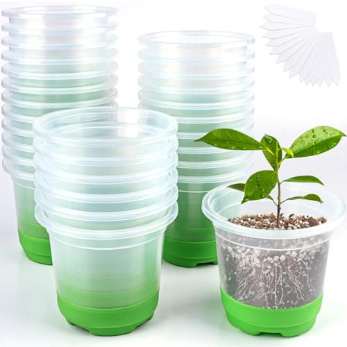 Kalolary 30PCS Pots de Pépinière Transparents, 10cm Base en Silicone en Plastique Pots de Démarrage de Semis avec Trous de Drainage pour Transplantation Semis Plantes Fleurs(Vert)