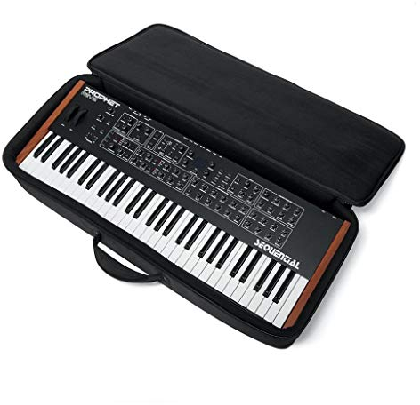 Analog Cases SUSTAIN Case 49 per 49 Key Synthesizer (imbottitura in schiuma EVA da 2 cm, pannelli in plastica, ampia tasca esterna, tracolla a zaino, maniglia spessa e cerniere grandi), Nero