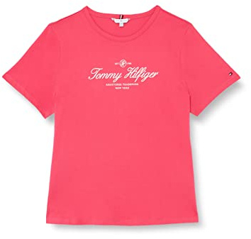 Tommy Hilfiger CRV Slim Signature C NK 1/2 SLV Ww0ww40569 Hauts en Tricot à Manches Courtes Femme (Lot de 1)