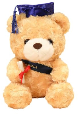 Alaiyaky Bachelor Geschenk Plüschbär mit Brille Diplom Doktorhut Abitur 2024 Bestandene Prüfung Abschluss Geschenk für Gymnasiasten (Type D)
