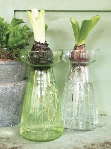 Hyacinth Vase, Spring Green Hyacinth Flower Bulb Glass Vase, Spring Bulb Vase Propagator Planter, Tall Green Glass Bud Flower Vase, Green Vase, Coloured Glass Vase, Stem Vase, Bud Vase