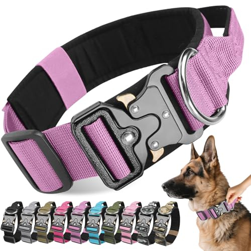 Viugex Collier pour Chien Tactique, Militaire Collier Réglable avec Poignée de Commande, Résistant et Confortable Collier pour Chiens de Taille Moyenne Grand Entraînement (Violet, M)