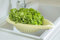 Bama Folia scolapasta coli, Multicolore, 47 x 23 x 10.5 cm
