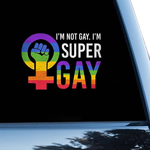 LGBT-Auto-Aufkleber mit Aufschrift I'm Not Gay I'm Super Gay, Vinyl-Aufkleber für Autos, LKWs, Pansexuell, LGBTQ, 15,2 cm