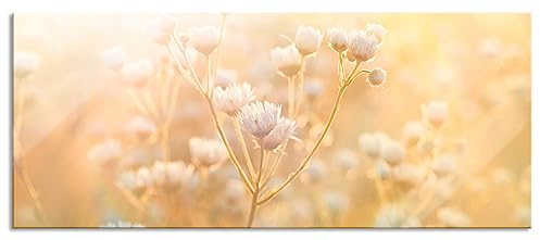 Pixxprint Glasbild Panorama, Wandbild aus Echtglas, Romantische Blumenwiese, 120x50 cm, inkl. Aufhängung und Abstandshalter