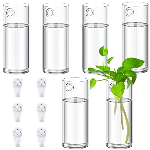 6 Stück Wandbehang Pflanzgefäße Glas Pflanzgefäße Wandvase Behälter Wandpflanzenhalter mit 6 Stück Kunststoff unsichtbare spurlose hängende Aufhänger für Hydrokulturpflanzen Sukkulenten Garten