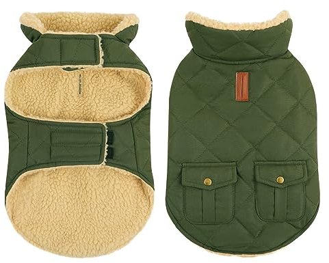 CITÉTOILE Wintermantel Hundemantel, Warme Winterjacken mit Fleece für Hunde,Hundejacke Hundekleidung Hundepullover Dog Coat mit Geschirr Loch für Chihuahua Dackel, Grün, M
