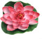 Bebykilemi 1 Stück künstliche Lotusblume, mehrfarbige schwimmende Lotusblume, für Teiche und Aquarien, dekorative künstliche Seerose (rosa)