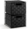 EHC 2 Drawer Storage Cabinet for Bedroom, Bathroom - Black