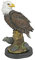 Design Toscano Noble Strength Statue Weißkopfseeadler, Harz, Mehrfarbig, M