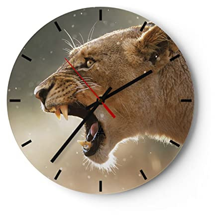 Modern Wanduhr Löwe Löwin Reißzähne 40x40cm Rund Groß Wand Uhr Glas Analog Zimmeruhren Küche Büro Wohnzimmer Glasuhr Wall Clock Dekoration Design Wanddekoration Küchenuhr C3AR40x40-4137