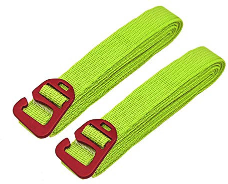 riemot Cinghie di fissaggio/tensione, cinghie per bagagli con gancio, cinghie per zaini con fibbia in lega di alluminio 100 kg di capacità di ancoraggio 2 cm x 2 m Pack-2 verde lime