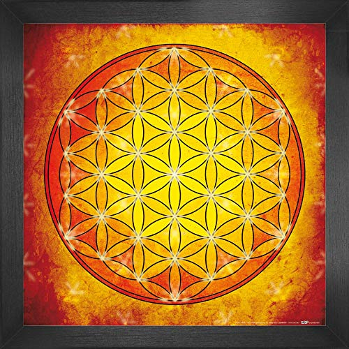1art1 Mandalas Poster Kunstdruck Bild und MDF-Rahmen - Die Blume des Lebens, Element Feuer (40 x 40cm)