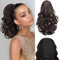 PORSMEER Pferdeschwanz Haarteil mit Kordelzug,Kurz Wellen Zopf Verlängerung Haare Extensions Synthetik Wellig Haarverlängerung Clip in Ponytail Dunkelbraun für Damen,26cm