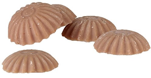 10 Stück Duftplättchen mit Rapswachs mit Duft Zimt