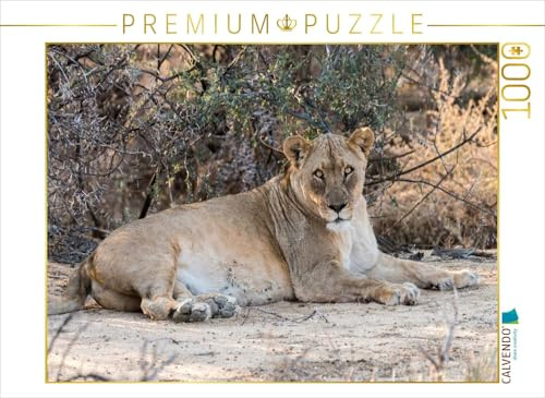 CALVENDO Puzzle Alte Löwin bei Leeubron, Etosha | 1000 Teile Lege-Größe 64 x 48 cm Foto-Puzzle für glückliche Stunden