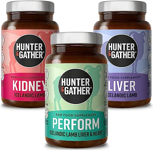 Hunter & Gather Nose to Tail Organ Supplements 3 x 180 Capsules | Wild Grass Fed Icelandic Lamb Ancestral Inspired Supplements. Raw Freeze-Dried Lamb. No GMO Feeds, Antibiotics Or Hormones