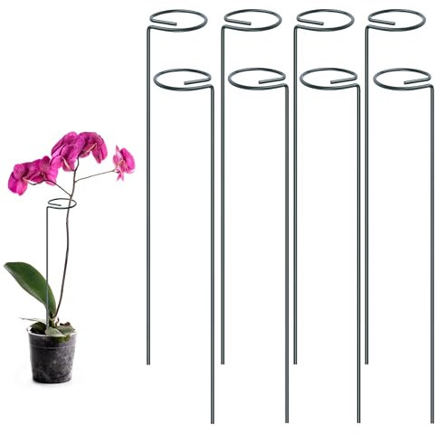 Foshird 8 Stück Pflanzenhalter 40cm Pflanzenstütze Metall Staudenhalter Rund Rankhilfe Garten Blumenhalter Blumenstütze Pflanzring für Rosen Tomaten Lilien Pfingstrosen Topfpflanzen