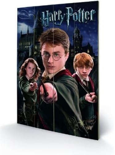 Pyramid International SW11030P Harry Potter Harry Ron Hermione Wandarbeit aus Holz, Bild auf Fichtenholz gedruckt