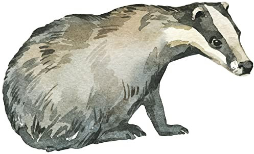 Samunshi® Dachs Aufkleber Autoaufkleber für Motorrad Fahrrad Roller oder Auto Sticker Babyaufkleber Kinderaufkleber - 10x6cm mehrfarbig