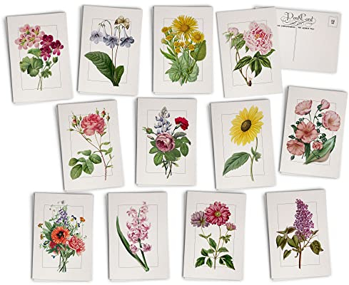 Vintage-Postkarten mit Blumenmuster, 24 antike Blumen-Postkarten, 12 verschiedene botanische Retro-Buch-Illustrationskarten, gedruckt auf antikem, strukturiertem Karton, ideal für Frühling, Sommer,