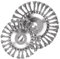 Oungy 2 Stück Unkrautbürste Freischneider, Profi Wildkrautbürste für Motorsense, 25,4mm Drahtbürste Freischneider mit Unkrautbürste für Rasentrimmer, Effektiven Unkrautentfernung (6+8 Zoll)
