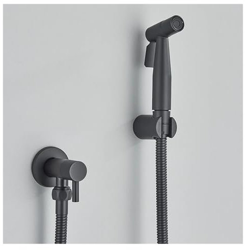 Bidet Rubinetto Singolo Acqua Fredda Bidet igienico in acciaio inossidabile(Matte Black)
