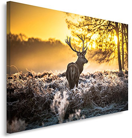 Feeby Impression Sur Toile Cerf Animaux XXL 120x80 cm 1 pièce Tableaux Tableau Mural Image Moderne Photo Décoration Murale Artistique Photographie Design Chambre Salon Cuisine Cornes Forêt Nature