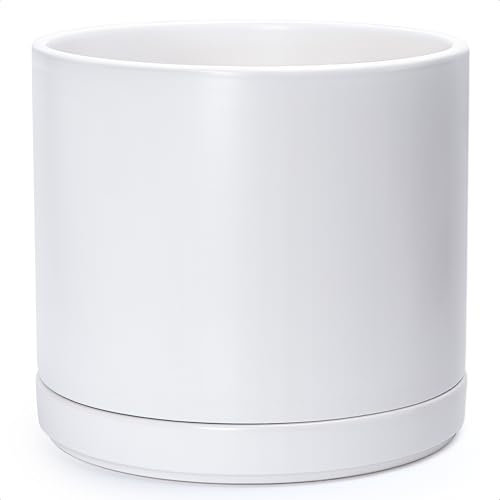 D'vine Dev 94-O-G-1 Keramik-Blumentopf mit Ablaufloch und Untersetzer, zylinderförmig, runder Blumentopf für den Innenbereich, Weiß, 35,6 cm