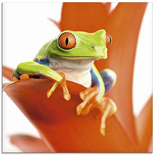 ARTland Wanddeko Glasbilder Wandbild Glas Bild einteilig Quadratisch Natur Tiere Frosch Laubfrosch Gesicht Pflanze Blumen Orange T5XA