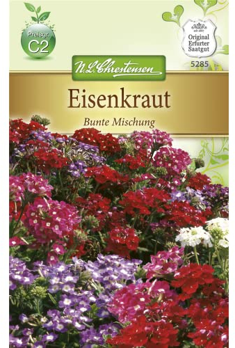 Chrestensen Eisenkraut 'Bunte Mischung'