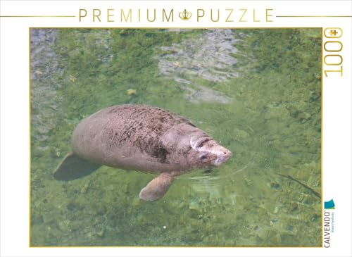 CALVENDO Puzzle Karibik-Manati | 1000 Teile Lege-Größe 64 x 48 cm Foto-Puzzle für glückliche Stunden