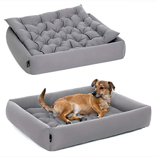Pointer | Hundebett Mittelgroße Hunde - Orthopädisches Hundebett mit Herausnehmbarer Matratze, Waschbar bis 95°C, Trocknergeeignet, Kratzfest & Bissfest, Made in Germany (XL - 90x80 cm, Hellgrau)