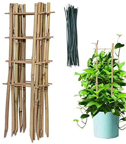 Bambusspalier - Quadratisches 6er-Pack Rankgitter aus natürlichem Bambus,Bambus-Spalier, Gartenspalier, Pflanzenspalier, Bambusstäbe, Blumenstütze für Kletterpflanzen, Zimmerpflanzen im Topf