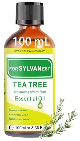 FORSYLVANEST Huile Essentielle d’Arbre à Thé 100 ml, huile aromatique au parfum frais et végétal, idéale pour les massages, l’entretien des cheveux et des ongles ainsi qu’en ajout parfumé pour le bain