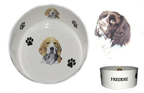 (BB62) Bone China Personalised SPRINGER SPANIEL dog food/water pet bowl decorated with PAWPRINTS AND BONES, Personalised with name of your choice- Many dog breeds available. Fun, colourful, new pet bowls.