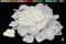 100 Stück Rosenblüten (Creme/Ivory 820) // Rosenblätter Blütenblätter Streudeko Blüten Blätter Tischdecko Hochzeit Party