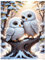 Mafenr Art Diamond Painting Erwachsene Set, Eule Diamant Painting Bilder, Mosaikherstellung für Geschenke und Familie Décor 30x40 cm